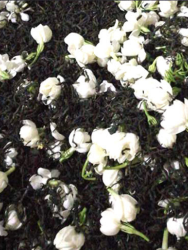 <h3>Delicate Green Tea with Fragrant Jasmine</h3>